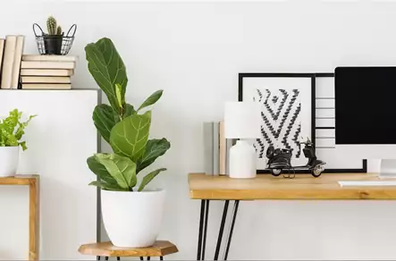 7 steps to creating the perfect home office - Banner